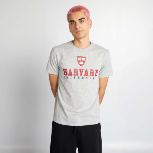 T-shirt 'style universitaire Harvard' - Gris