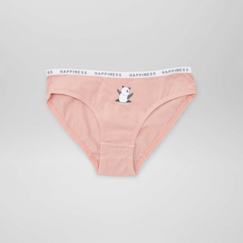 Lot de 4 culottes imprimées - Panda